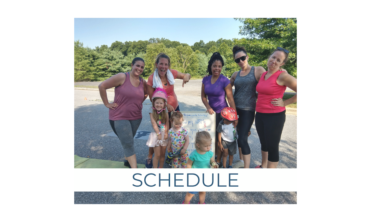 link:schedule